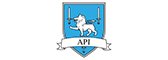 American Property Insurance Company